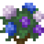 Hydrangea Bush
