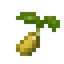 Rye Seed