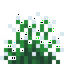 White Snowbelle