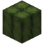 Alluaudia Bundle