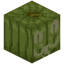 Conifer Jack o'Lantern