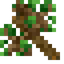 Oak Twig