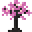 Comet Sapling