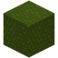 Scaled Green Wool