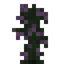 Rainbow Gum Sapling