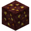 Nether Gold Ore