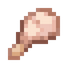 Raw Duck Meat