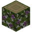 Flowering Birch Log
