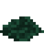 Algae