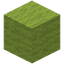 Conifer Rockwool