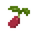 Amaranth Seed