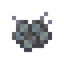 Silverfish Eggs