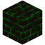 Green Nether Bricks