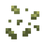 Barley Seeds