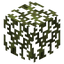 Cedar Leaves