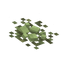 Monazite Surface Rock