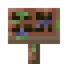 Rainbow Eucalyptus Sign