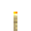 Birch Planks Torch