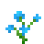 Blue Orchid