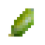 Finger Lime