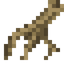 Edible Root