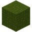 Windmill Green Wool