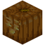 Suspicious Jack O Lantern