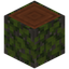 Overgrown Acacia Log
