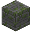 Inscribed Mossy Stone Bricks