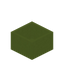 Conifer Concrete Botany Pot