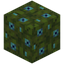 Blue Moss Block