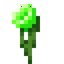 Glimmering Lime Flower