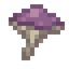 Strophar Mushroom