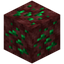 Nether Emerald Ore