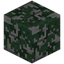 Overgrown Diorite