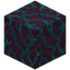 Warped Hyphae