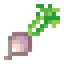 Turnip