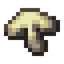 Roasted Mushroom