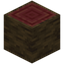 Mangrove Log