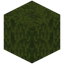 Mossy Dried Kelp Block