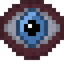 Environmental Ocular