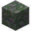 Mossy Smooth Stone Bricks