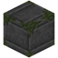 Cut Blank Mossy Stone Bricks