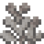Dead Passion Coral