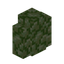 Prismarine Wall