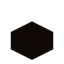 Black Botany Pot