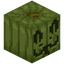 Conifer Carved Pumpkin