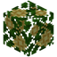 Pecan Crop