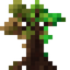 Tree of Time Sapling