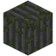 Mossy Stone Bricks Pillar